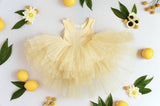 Plum Tutu Dress | Penny - Green Hearts Pink